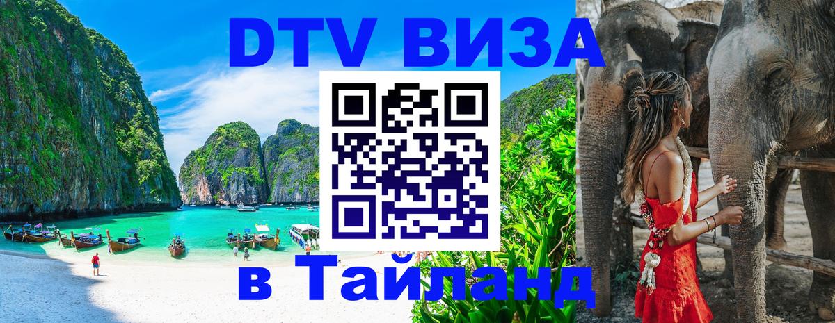 Оформление DTV визы под ключ: стоимость и тарифы, только загранпаспорт - 